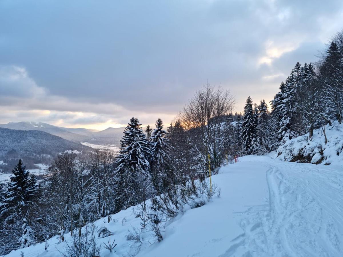ビュッサン Les Randogodilleurs Avec Jacuzzi A 2Kms Des Pistes Et 350M Du Theatre Du Peuple !ヴィラ エクステリア 写真